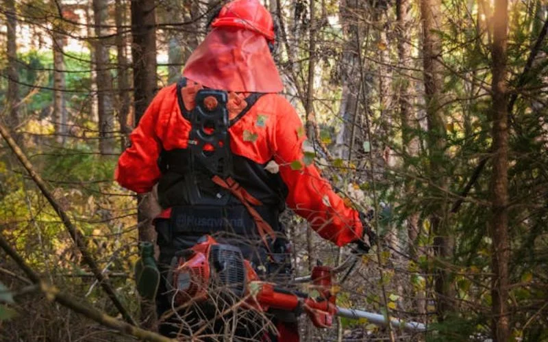 Arborist Tradfallning 1