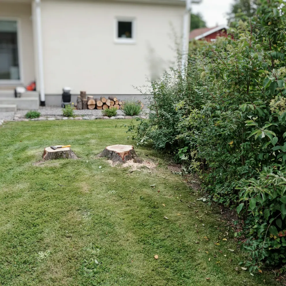 arborist tradfallning nacka